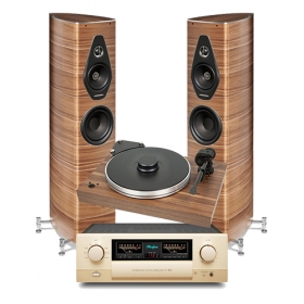 PROJECT XTENSION 10 + SUMIKO BLACK BIRD + ACCUPHASE E-380 + AD50 + SONUS FABER OLYMPICA NOVA II