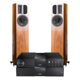 NAIM NSC222 + NAP250 + APERTURA EDENA EVO