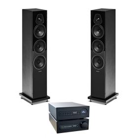 HEED ABACUS S + ELIXIR + SONUS FABER LUMINA V