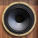 TANNOY STIRLING GR-OW