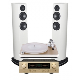 CLEARAUDIO CONCEPT GOLD SATISFY JUBILEE MM + ACCUPHASE E-280 + ATOHM GT2-HD