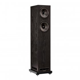 FYNE AUDIO F501E