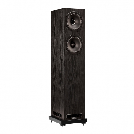 FYNE AUDIO F501E