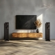 FYNE AUDIO F501E