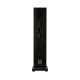 FYNE AUDIO F501S
