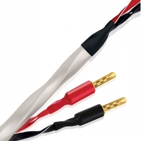 WIREWORLD SOLSTICE 10