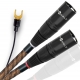 WIREWORLD MICRO-ECLIPSE 10 TONEARM