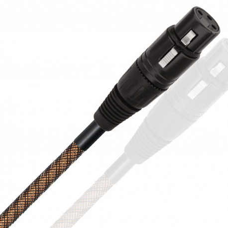 WIREWORLD MICRO-ECLIPSE 10 AES