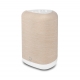 BLUESOUND PULSE FLEX 2025