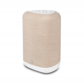 BLUESOUND PULSE FLEX 2025