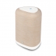 BLUESOUND PULSE FLEX 2025