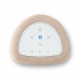 BLUESOUND PULSE FLEX 2025