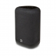 BLUESOUND PULSE FLEX 2025