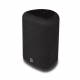 BLUESOUND PULSE FLEX 2025