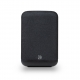BLUESOUND PULSE FLEX 2025