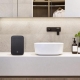 BLUESOUND PULSE FLEX 2025