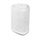 BLUESOUND PULSE FLEX 2025