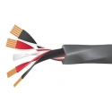 WIREWORLD EQUINOX 8