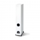 PARADIGM MONITOR SE 6000F