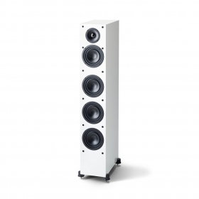 PARADIGM MONITOR SE 6000F
