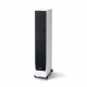 PARADIGM MONITOR SE 6000F