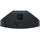 BLUESOUND PULSE MINI 2I