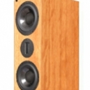 Proac D40R